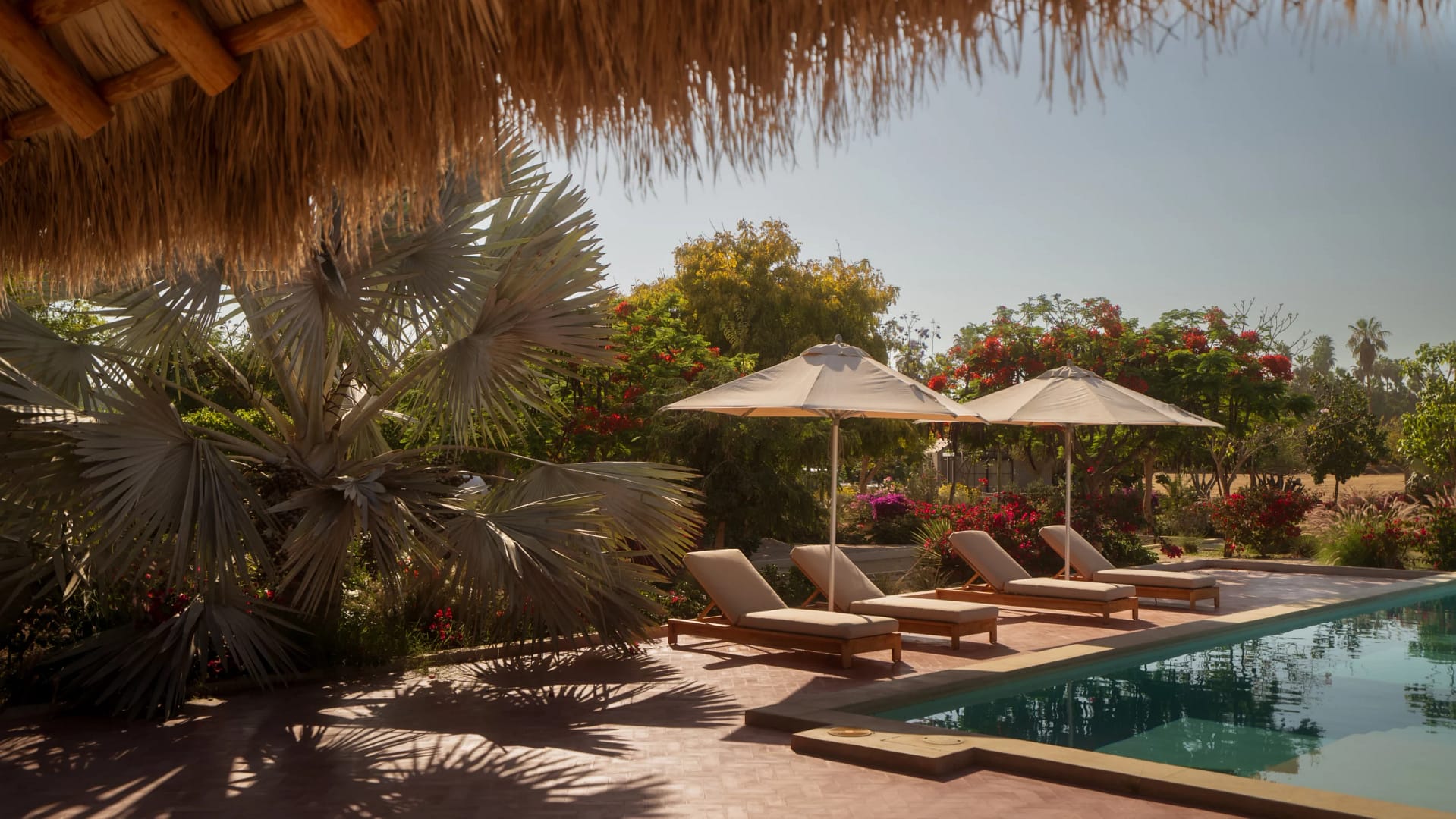 pool - Rancho 4 Patas